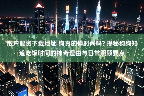 散户配资下载地址 狗真的懂时间吗? 揭秘狗狗知道吃饭时间的神奇理由与日常照顾要点