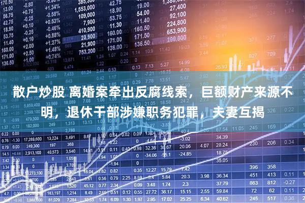 散户炒股 离婚案牵出反腐线索，巨额财产来源不明，退休干部涉嫌职务犯罪，夫妻互揭